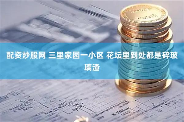 配资炒股网 三里家园一小区 花坛里到处都是碎玻璃渣